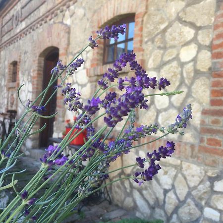 Готель Levendula Porta Es Pajtaszinhaz Орфів Екстер'єр фото