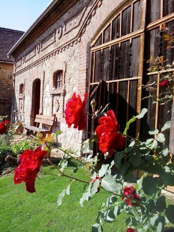 Готель Levendula Porta Es Pajtaszinhaz Орфів Екстер'єр фото